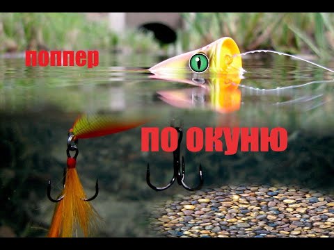 Видео: КЛЕВ НА КАЖДОМ ЗАБРОСЕ. ПОППЕР + ПОПЛА - ПОППЕР