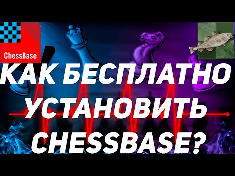Видео: Как бесплатно установить ChessBase?