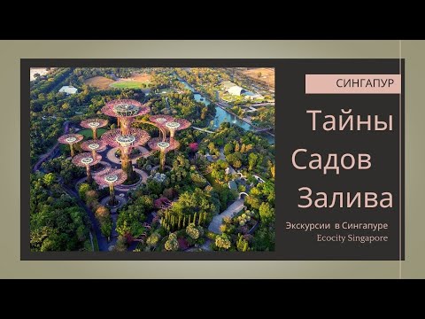 Видео: Сингапур. Тайны Садов у Залива.