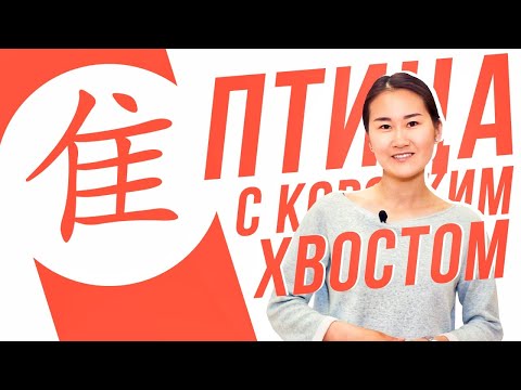 Видео: Ключевые иероглифы #74 隹 (птица с коротким хвостом) 🐥 УЧУ КИТАЙСКИЙ ЯЗЫК ✌ Школа Динары Мин ✌