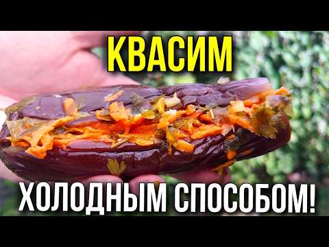 Видео: Квашенные баклажаны ХОЛОДНЫМ СПОСОБОМ без ЗАМОРОЧЕК!