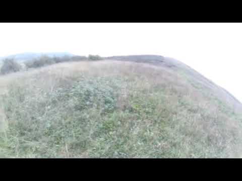 Видео: Охота на зайца