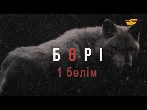 Видео: «Бөрі» 1 бөлім / «Бори» 1 серия