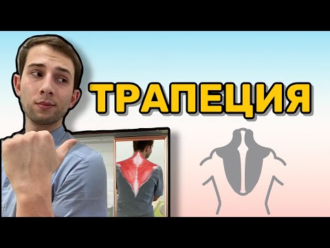 Видео: ТРАПЕЦИЕВИДНАЯ МЫШЦА. Триггерные точки. Отраженная боль. Домашняя помощь.