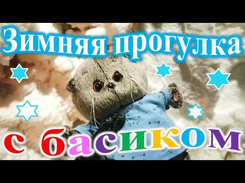 Видео: Зимняя прогулка с басиком.