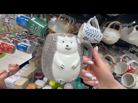 Видео: 🔥ФИКС ПРАЙС В ВОСТОРГЕ🔥СКОЛЬКО ВСЕГО 🤗ОСЕННИЕ НОВИНКИ 🍁👍FIX PRICE #fixprice #обзор #фикспрайс 