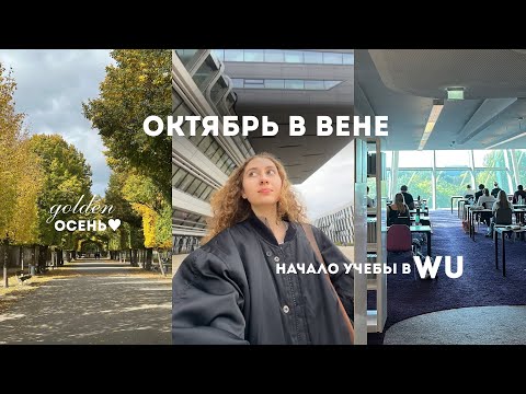 Видео: осень в Вене | начало учебы в WU | как я выбирала магистратуру?