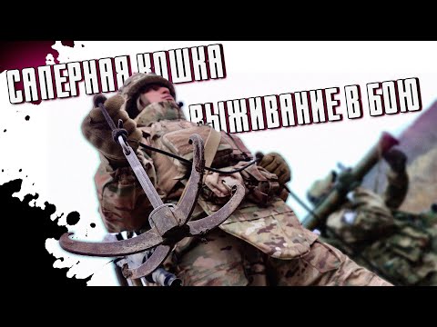 Видео: Саперная кошка | Выживание в бою