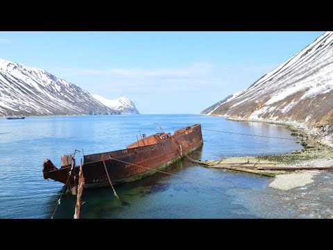Видео: МОРСКИЕ красоты КАМЧАТКИ! Здесь КАСАТКИ караулят вкусных СИВУЧЕЙ!