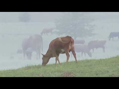 Видео: «То, что останется после меня» ГТРК «Ставрополье»