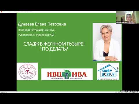 Видео: Сладж в желчном пузыре, что делать ИВЦ Дунаева Е П
