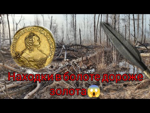 Видео: Коп.Открытие сезона 2024 года, находки в болоте повергли в  Шок😱
