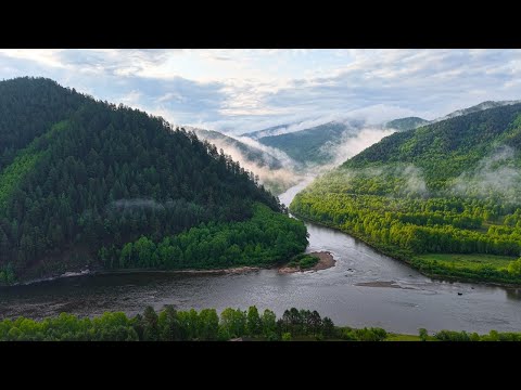 Видео: Нашли РЫБНУЮ РЕКУ в ГЛУШИ! Клюёт на КАЖДОМ ЗАБРОСЕ. Кругом МЕДВЕДИ...