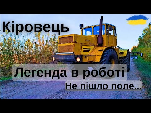 Видео: У К-700 не пішло поле. Легенда в роботі. Будні тракториста. Кіровець. Tractor 🚜.