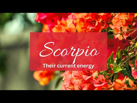 Видео: Скорпион❤️ Я чувствую, что теряю тебя, потому что ты мне надоел, и я боюсь, что ты уже заменил ме...
