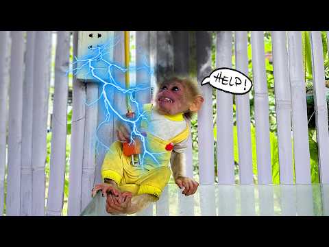 Видео: Каки чуть не лишился жизни, просто играя с электрическим проводом!