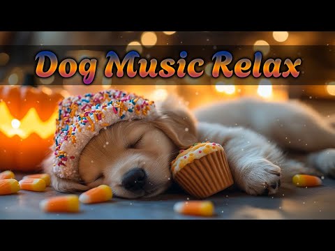 Видео: Антистресс музыка для собак 🐕 Успокаивающие звуки для сна, отдыха и релаксации 💫