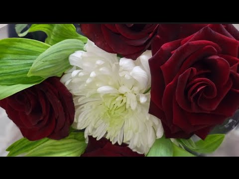 Видео: СОВГА ЛАРНИ КАБУЛ КИЛАМИЗ🌹🌹🌹🌹👍👍👍👍❤️❤️❤️❤️❤️❤️