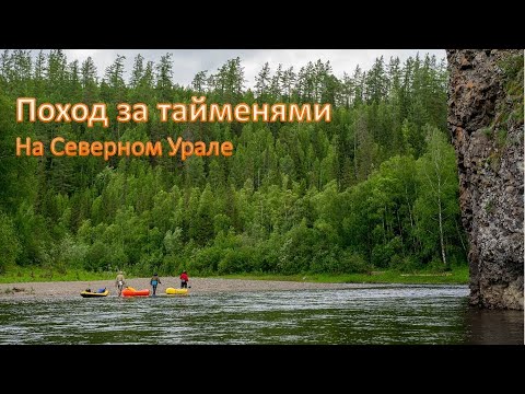 Видео: Поход за тайменями на Севером Урале на пакрафтах