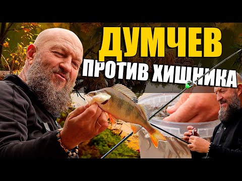 Видео: САМАЯ ПРОСТАЯ И УЛОВИСТАЯ СНАСТЬ! ЛОВЛЯ НА ДОНКУ НА ЖИВЦА. Рыбалка превзошла все ожидания!