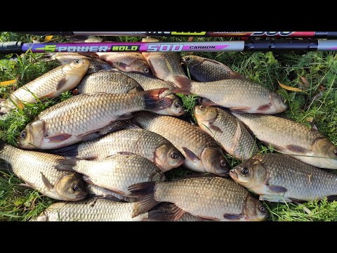 Видео: Ловля КРУПНОГО КАРАСЯ - выкладывают ПОПЛАВОК!  Рыбалка весной 2021.