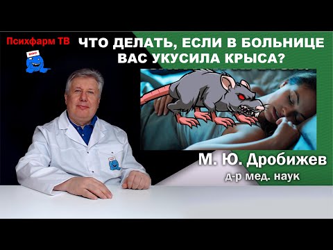 Видео: Что делать, если Вас укусила крыса?