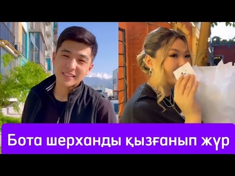 Видео: БОТА ШЕРХАНДЫ БӨТЕН ҚЫЗБЕН КӨРІП ҚЫЗҒАНЫП ҚАЛДЫ🤔