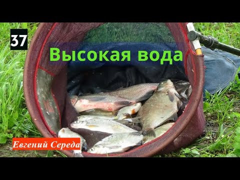 Видео: 37. Высокая вода.