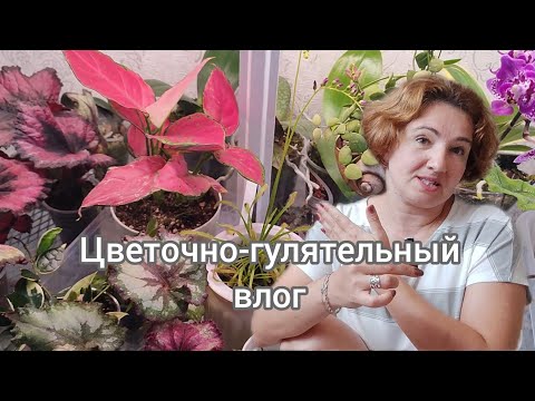 Видео: Хайдайвинг и растения 🤨