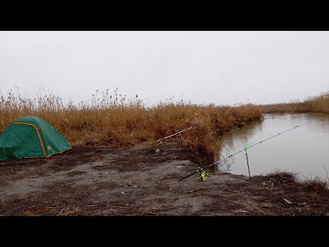 Видео: ловля дикого сазана в декабре 2024.г был Две сутки на рыбалке в диких местах