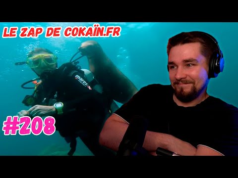 Видео: РЕАКЦИЯ ДИКТОРА | Le Zap de Cokaïn.fr n°208