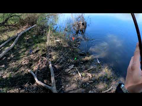 Видео: Рыбалка в Оренбурге река Урал,весна 2023