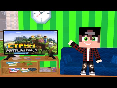 Видео: стрим в честь кота