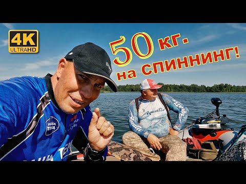 Видео: Рыбалка в Псковской области на спиннинг. Рыба на каждом забросе