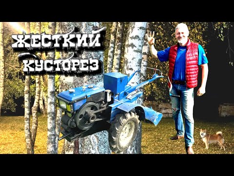 Видео: Грибы, гортензии и 8 лошадей дизеля: мой дачный день