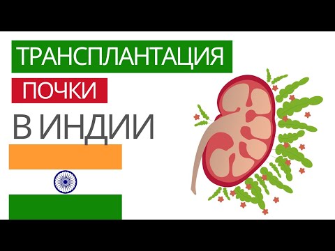 Видео: Трансплантация почки в Индии. История пациента из Ташкента.