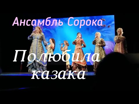 Видео: Ансамбль Сорока - Полюбила казака 🎶 Зажигательная песня 🔥