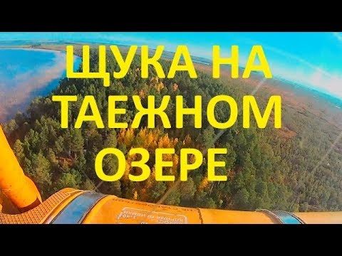 Видео: Рыбалка на таежном озере