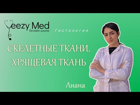 Видео: Гистология. Скелетные ткани. Хрящевая ткань