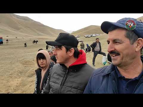 Видео: Порча аз бузкашии д.Баҳор,ҷ/д Лоиқ Шералӣ 14.01.2024 (солим уштур+12000 рубл ва 1900 сомонӣ)