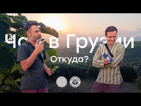Видео: Откуда у нас взялся Грузинский чай ?