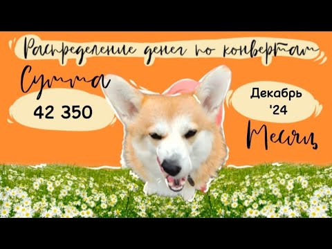 Видео: Видео 21. Распрежеление на декабрь '24. Долгосрочные конверты