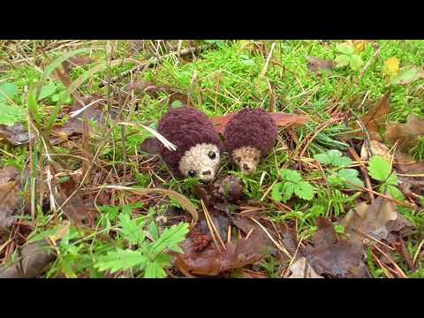 Видео: Мы нашли в лесу полянu грибов | Kleines Feld von Pilzen im Wald