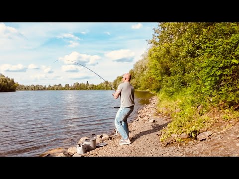 Видео: Вечірня риболовля на ляща🎣. Таки дочекався його. Десна в Погребах. Червень 2025.