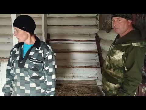 Видео: Приехал сын и работа пошла быстрее.