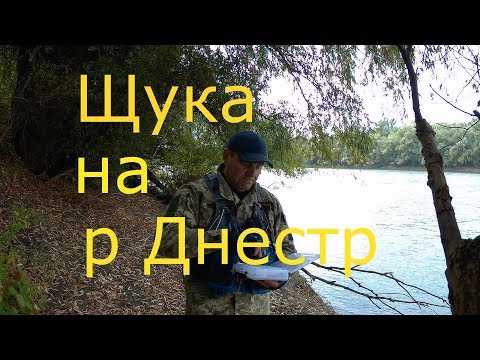 Видео: Рыбалка Ловим щуку на реке Днестр на спиннинг джиг воблера осень октябрь 2019