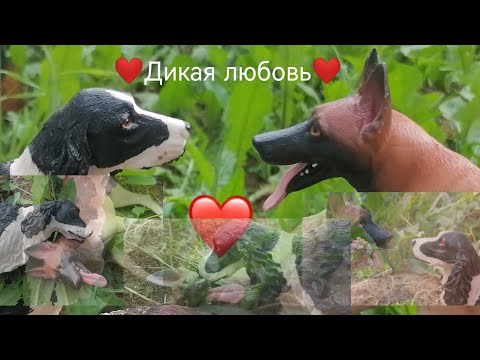 Видео: schleich /шляйх фильм "дикая любовь" шляйх фильм про собак /собачья любовь и верность🖤