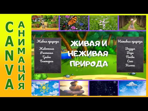 Видео: Как сделать анимированный плакат в редакторе Canva