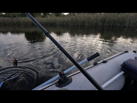 Видео: Стільки човнів на водоймі я ще не бачив, вийде щось спіймати? )