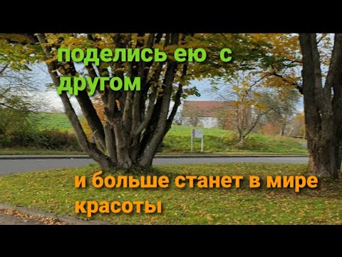 Видео: НОВАЯ МАШИНА 🚗 ПОЧТИ 😉 ЖИЗНЬ В ГЕРМАНИИ ❤ 